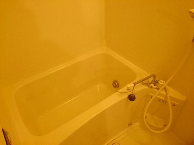 パークラビィ 風呂画像