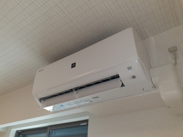 アルドーレ その他3