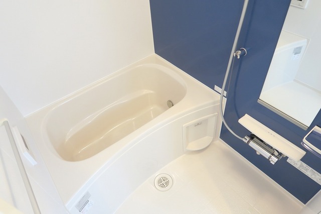 ハレ　オオノ　ⅲ 風呂画像