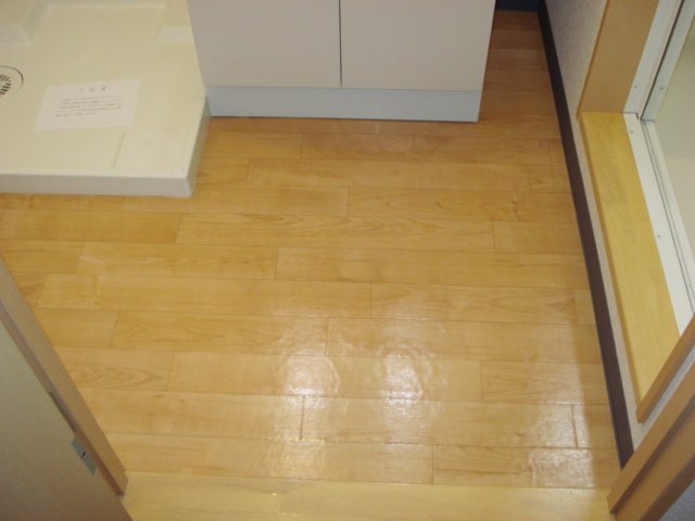 ＯＰＵＳ　ＯＮＥ その他12