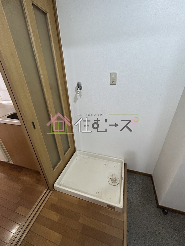 ステラ その他4