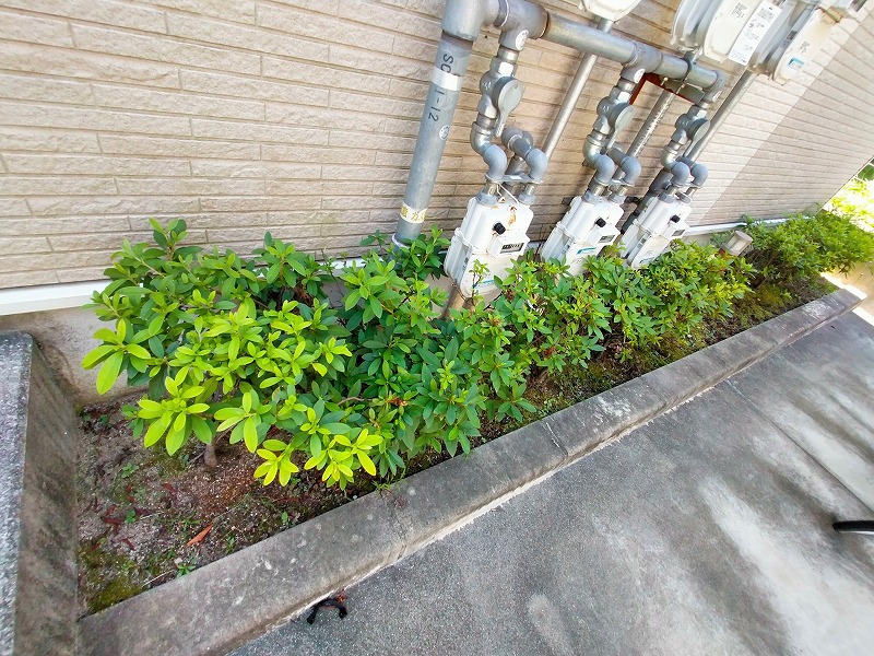 レオネクストＳＡＫＵＲＡ その他5