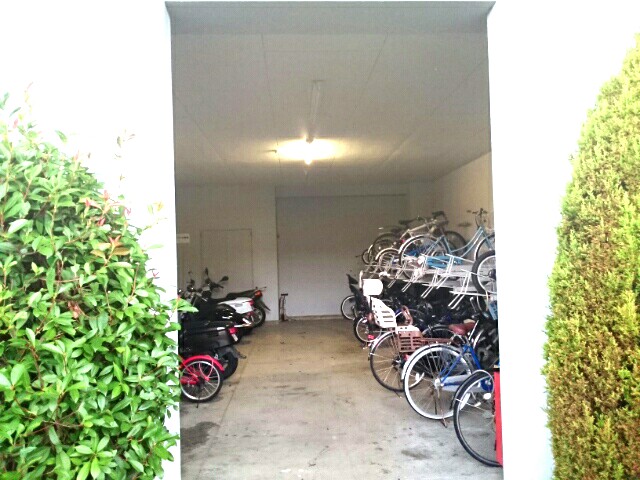 ＢＥＡＵ　ＣＨＡＭＰＳ　夢運 その他5