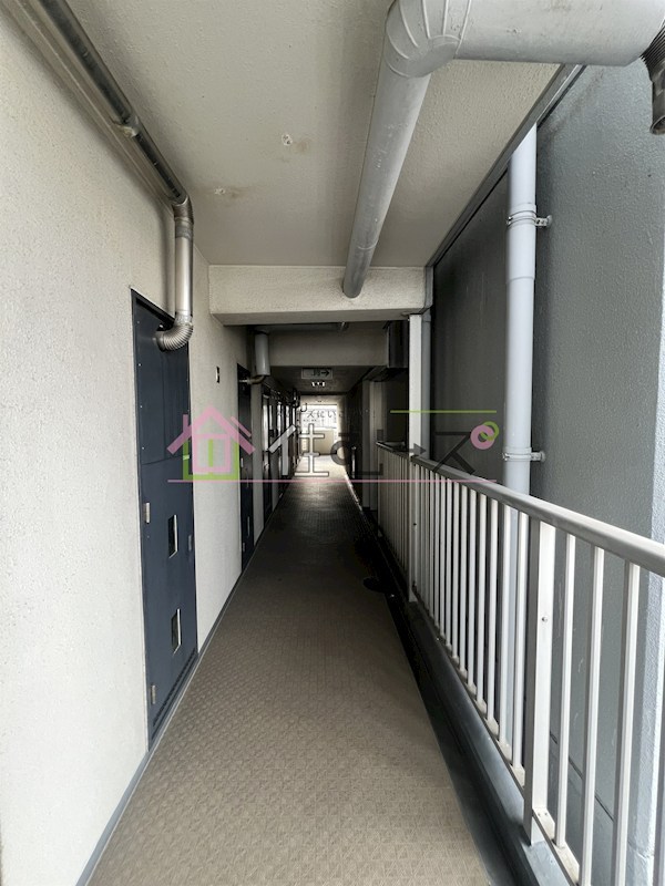 シャンティ・マサノ その他外観5