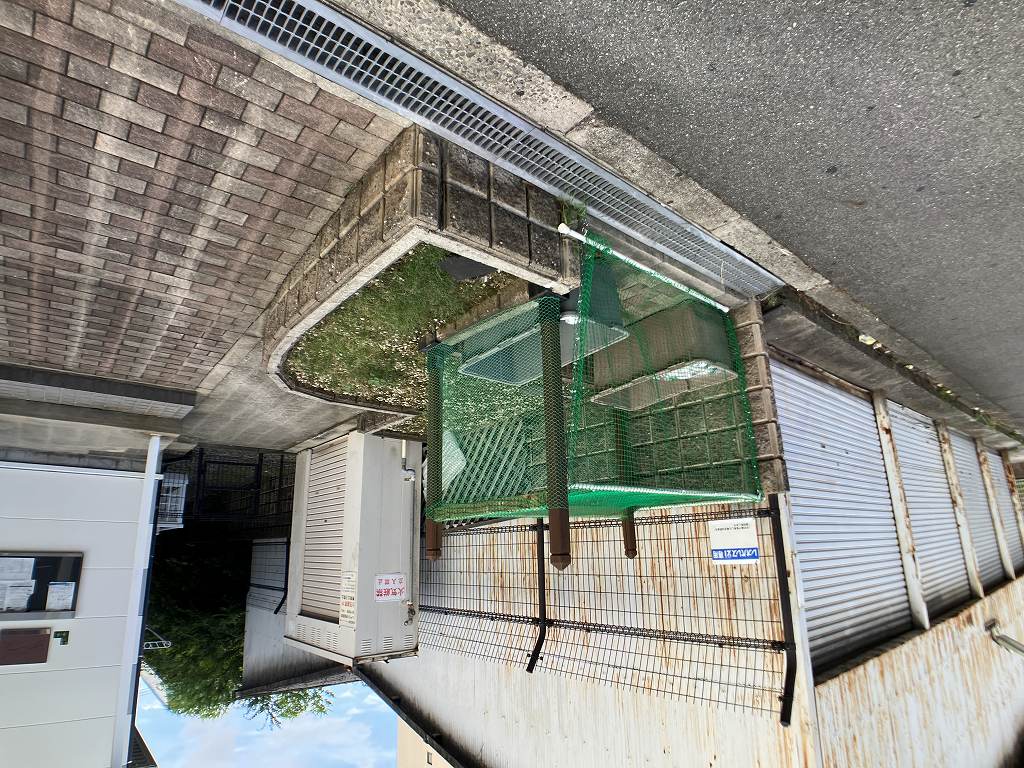 レオパレスオーパス深江橋 その他4