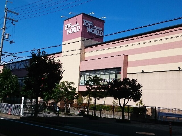 パインオーク　Ａ その他外観5