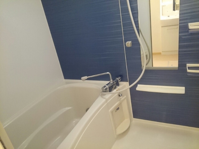 オブコニカ その他1