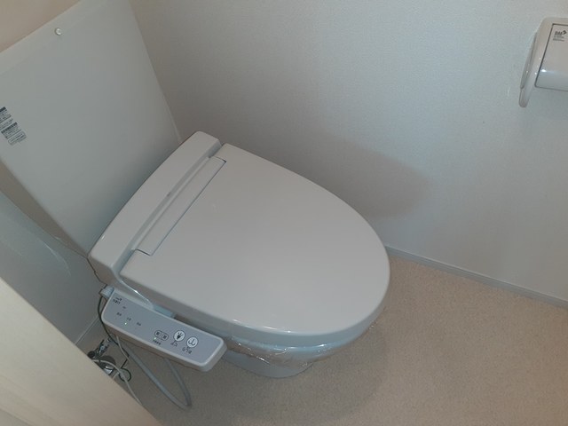 カルム　エレガンス その他2