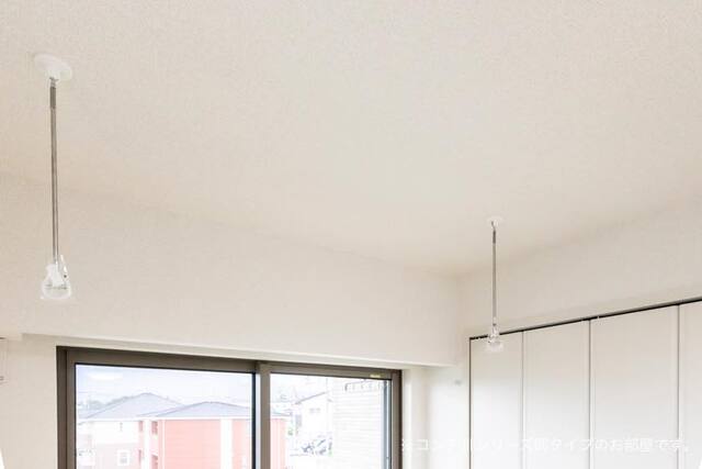 アネラ その他1