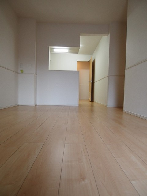 レフィナード・コンドミニオ リビング