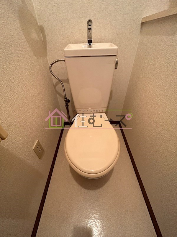 エクセレント上新8 その他5