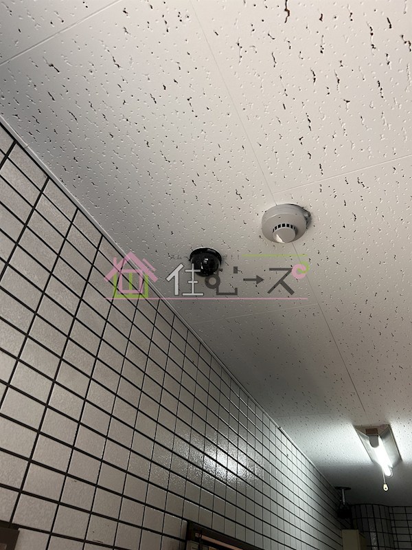 メゾンブランシェ1番館 その他外観6