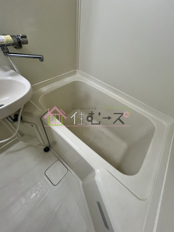 PALMIZIO東三国 風呂画像