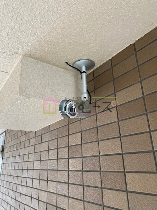 エヌズコートⅡ その他外観5