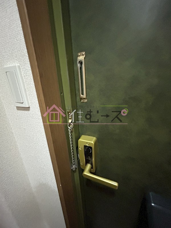 ヴェルドミール その他4