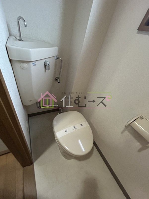 ヴェルドミール その他6