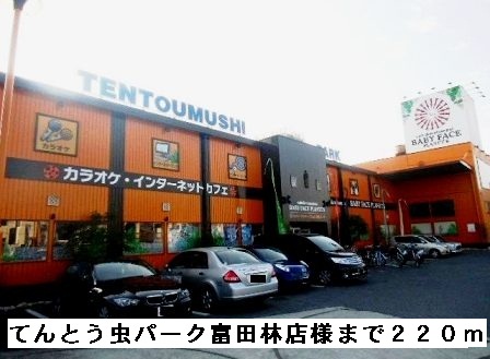 マーベラス　コンドミニアム その他外観1