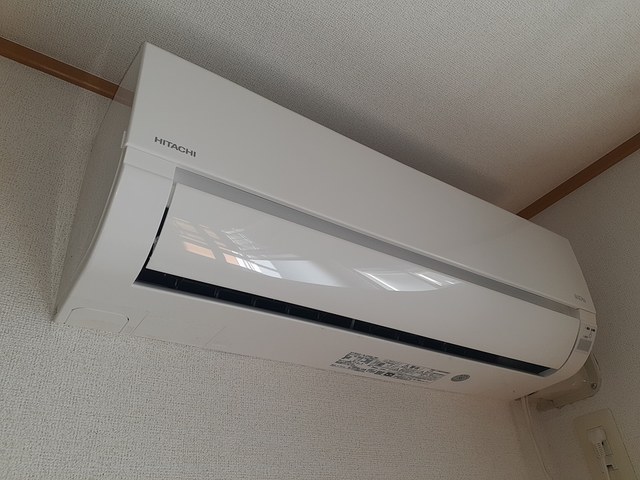 シェーネ　エレガンシア その他4