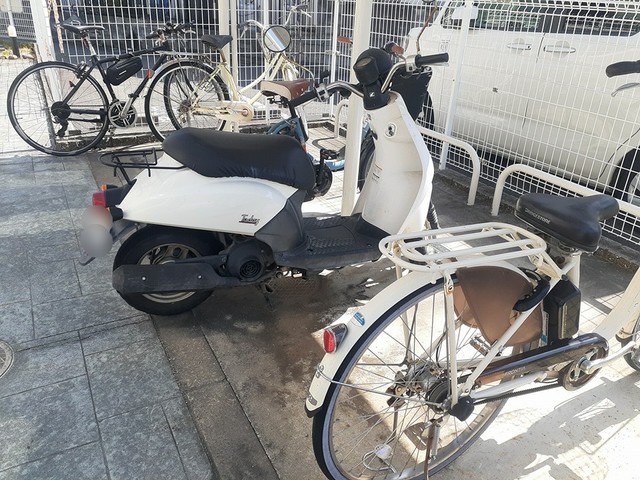 シェーネ　エレガンシア その他7