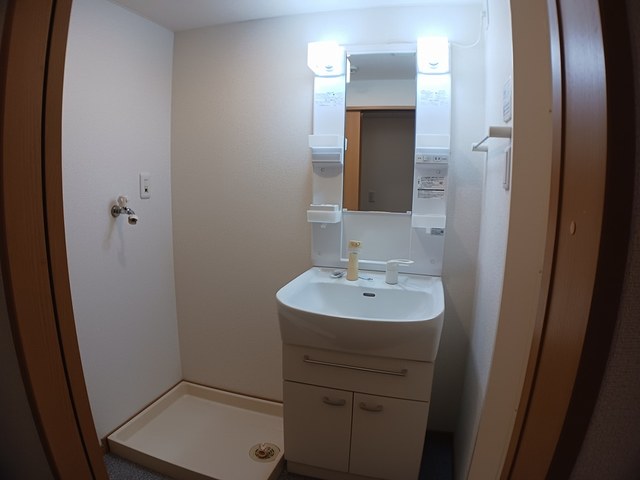 フロールマリポッサ その他4