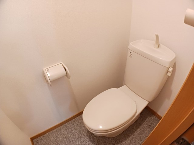 フロールマリポッサ その他5