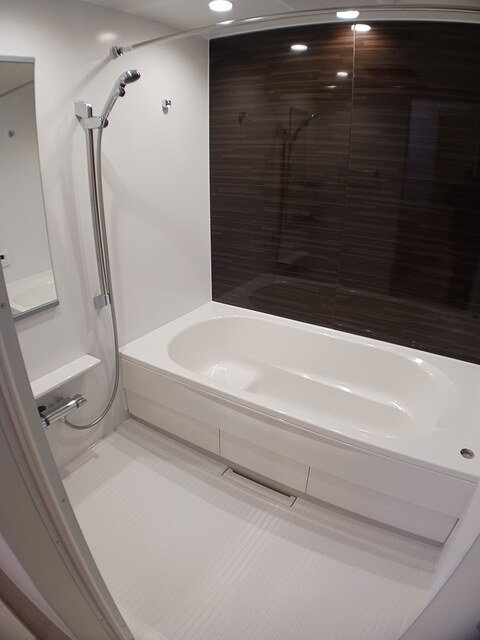 ヴェルデ　ブリッサ　Ⅲ 風呂画像