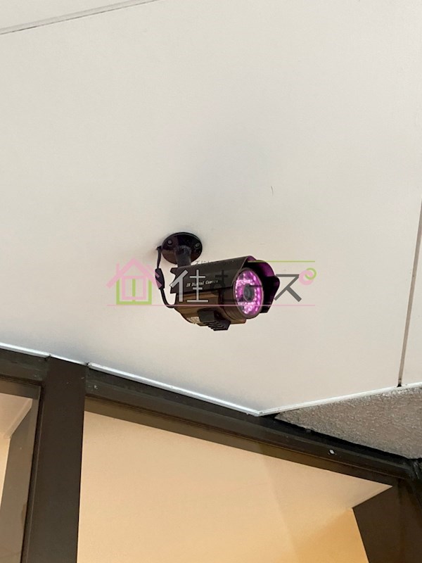 朝日プラザパレ・セーヌ その他外観5