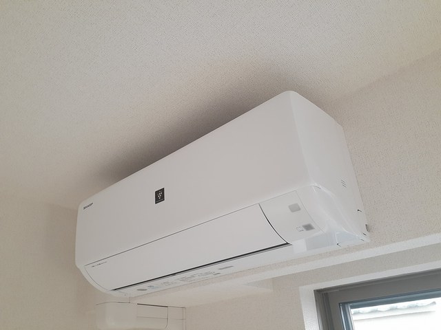 Ｃｏｚｕｍｅｌ（コスメル） その他1