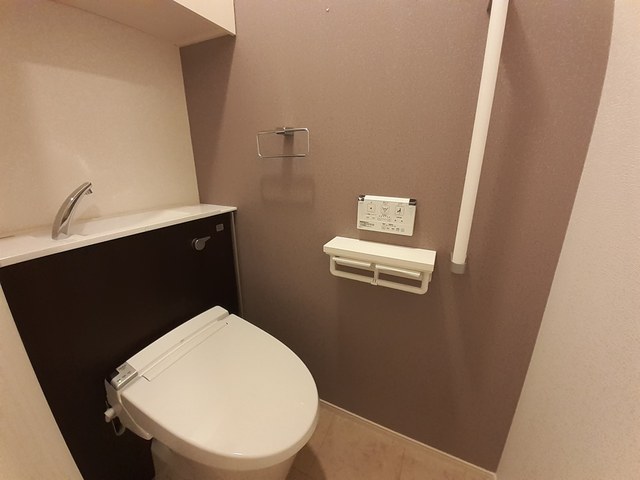 Ｃｏｚｕｍｅｌ（コスメル） その他5