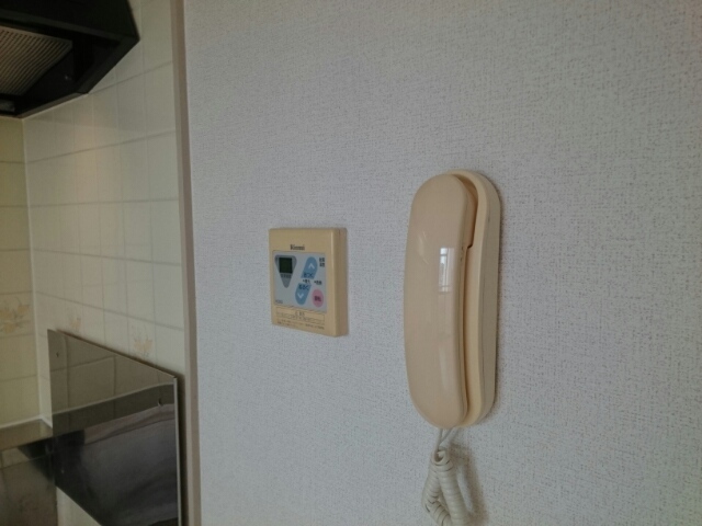 ソルジェンテ金剛 その他5