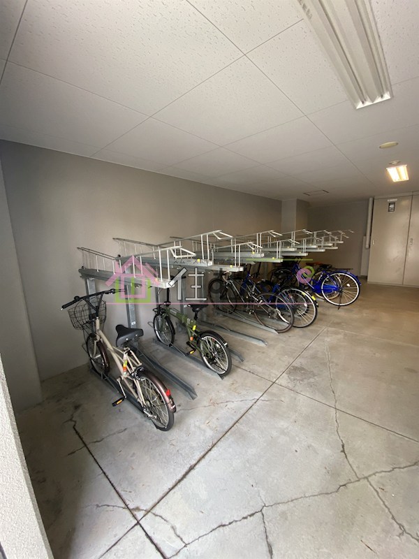 エスリード福島グレイス その他外観4