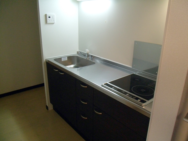 レオネクスト寺本 キッチン
