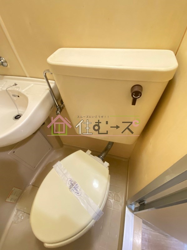 ルネッサンスロザリア その他2