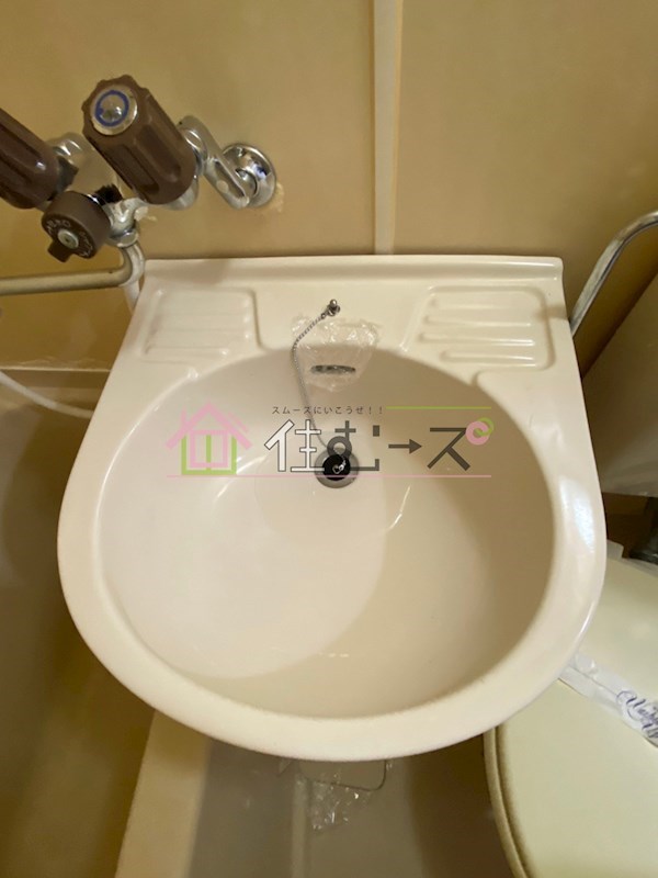 ルネッサンスロザリア その他3