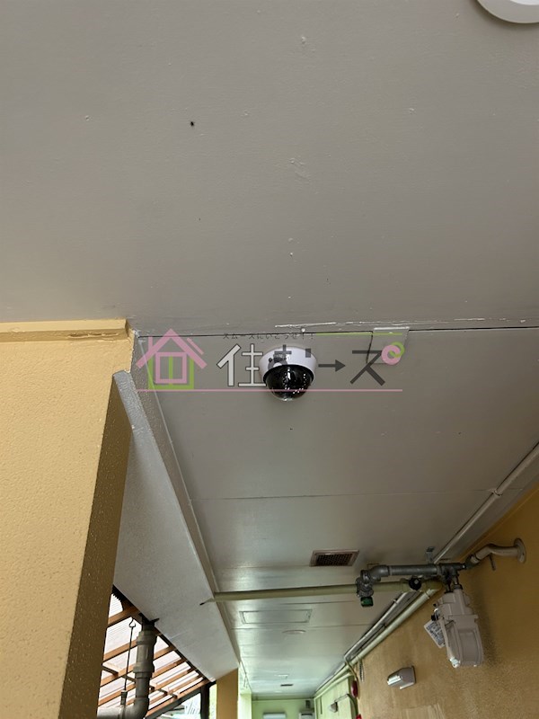 ベアーコーポ その他外観6