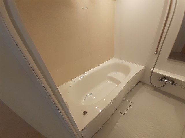 ヴェルデ　Ⅰ 風呂画像