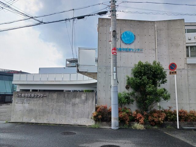 桜の町７丁目アパート その他外観1