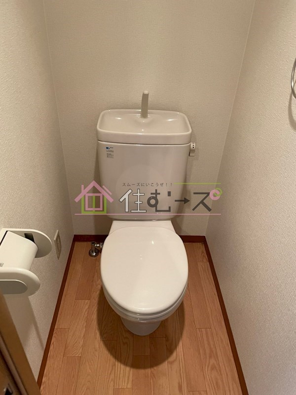 エクセレント上新12 その他5