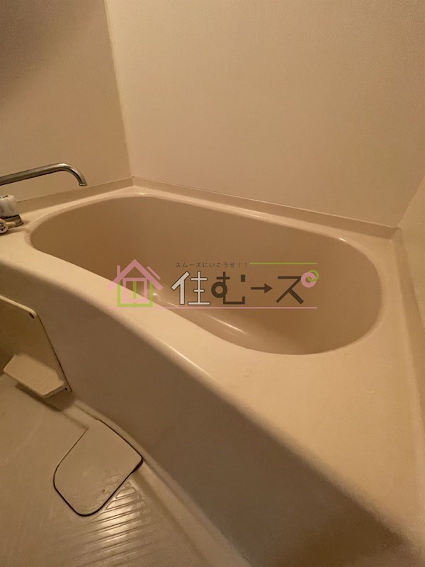 シンセイドルフ 風呂画像