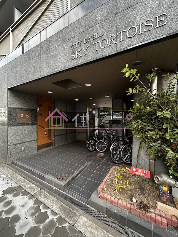 CITY DWELL SKY TORTOISE その他1