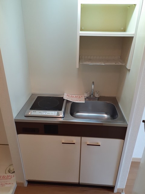 ドミールミノオ キッチン