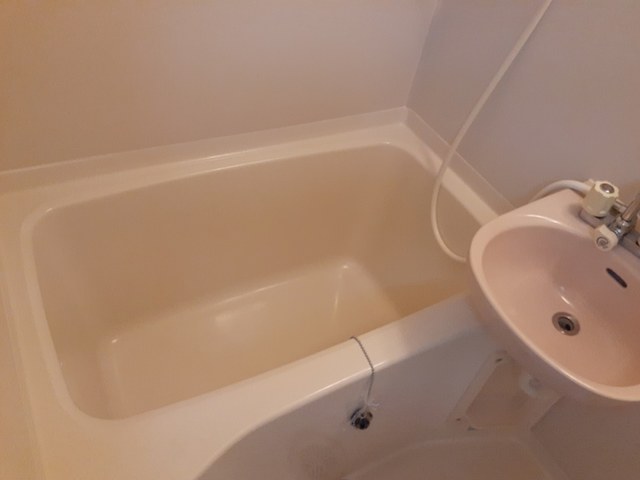 ドミールミノオ 風呂画像