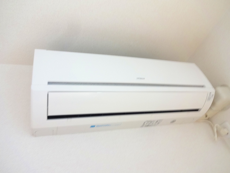 アルンドー・インディカ その他2