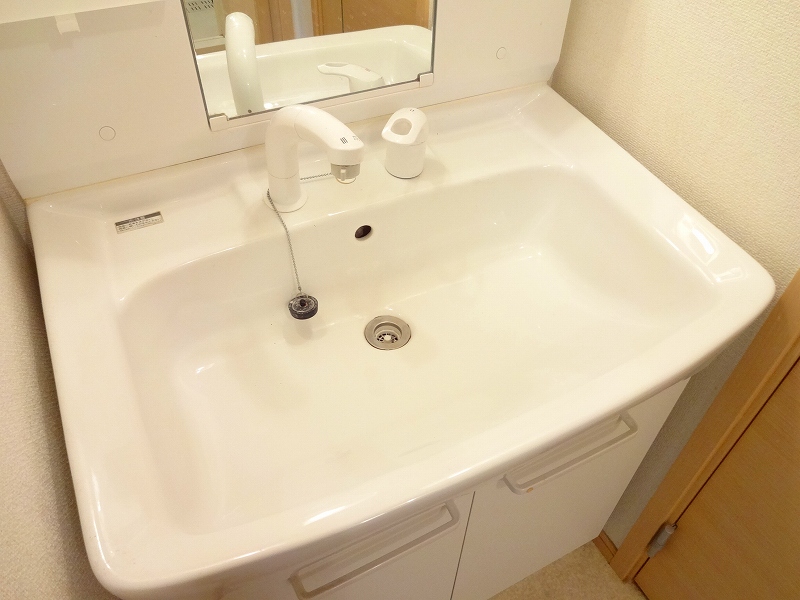 アルンドー・インディカ その他4