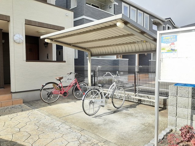 アプリコット その他5