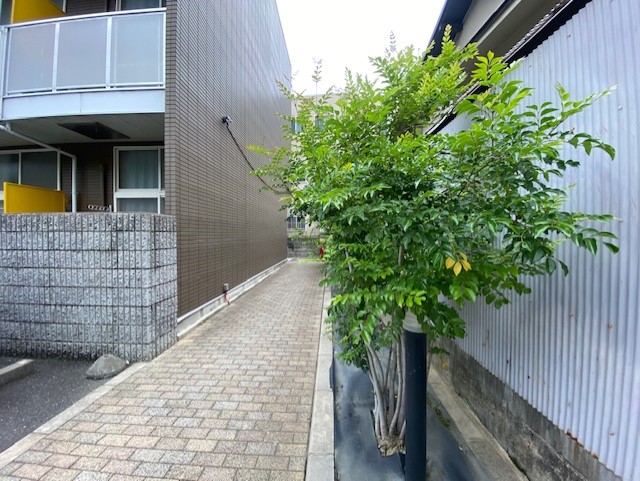 レオパレスＷＡＫＡＫＵＳＡ その他9