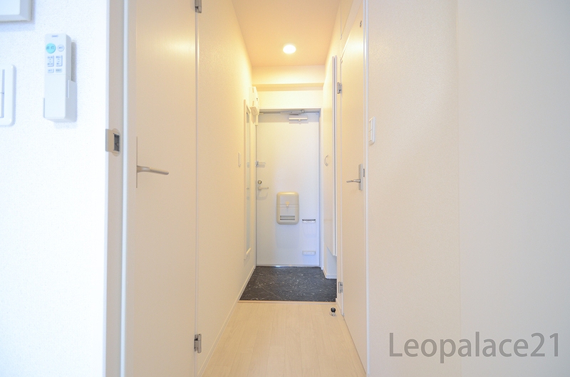 レオネクストルナ その他8