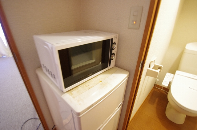 レオパレスメルツェⅣ その他13