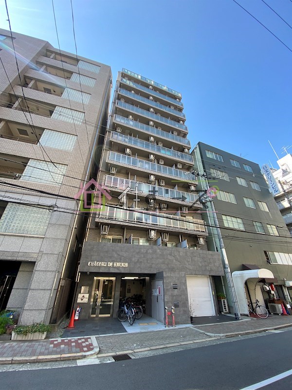 シャトー・デ・シリウス 外観