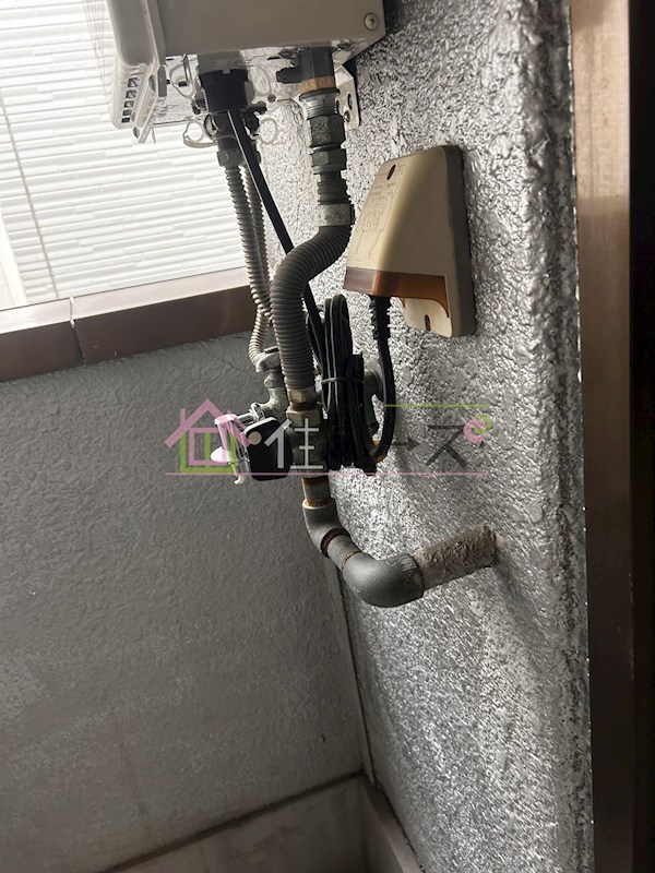 フローレンスサンワ その他2